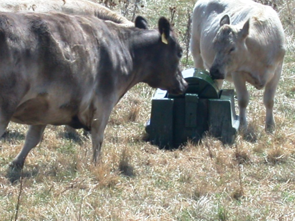 Urea molasses licker drums Cadfor